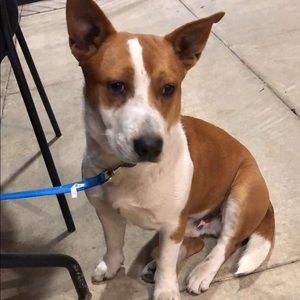 Meet your Posher, Martha